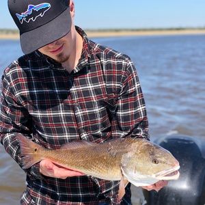 Meet your Posher, Corey